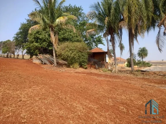 Imagem Sítio 30 alqueires extra imperdível - Oportunidade Única! em Cornélio Procópio PR