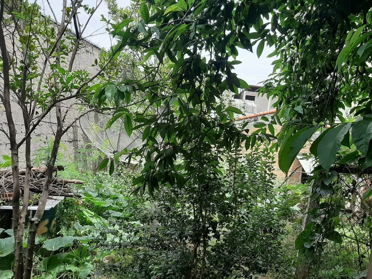Imagem Comercial à venda 3 Quartos, 372.5M², Santa Rita, Aparecida - SP