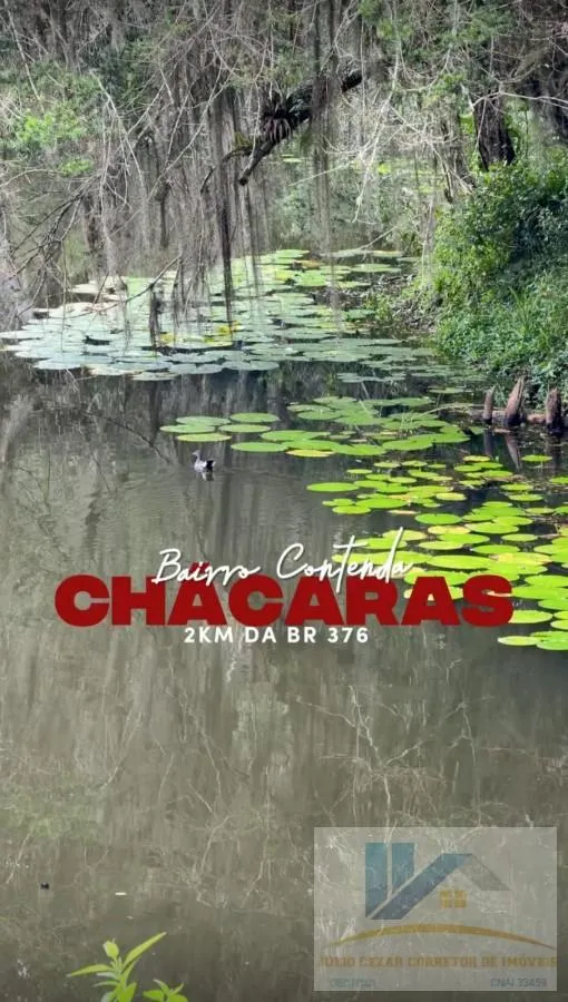 Foto do imóvel Chácara para Venda em São José dos Pinhais, Contenda