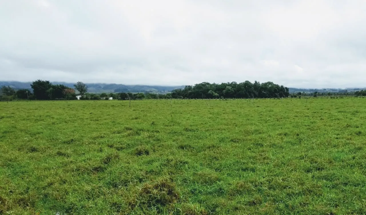 Foto do imóvel Chácara à venda 20000M², Cruz Pequena, Pindamonhangaba - SP