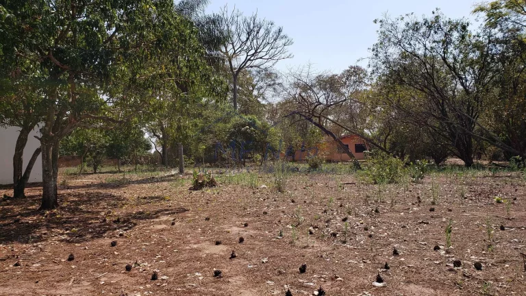 Imagem Terreno Padrão