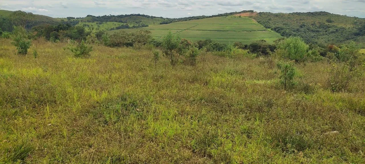 Imagem endo uma excelente fazenda em Desterro de Entre Rios com 277 hectares de terra