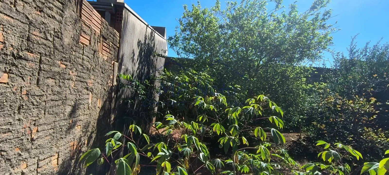 Imagem Terreno Padrão