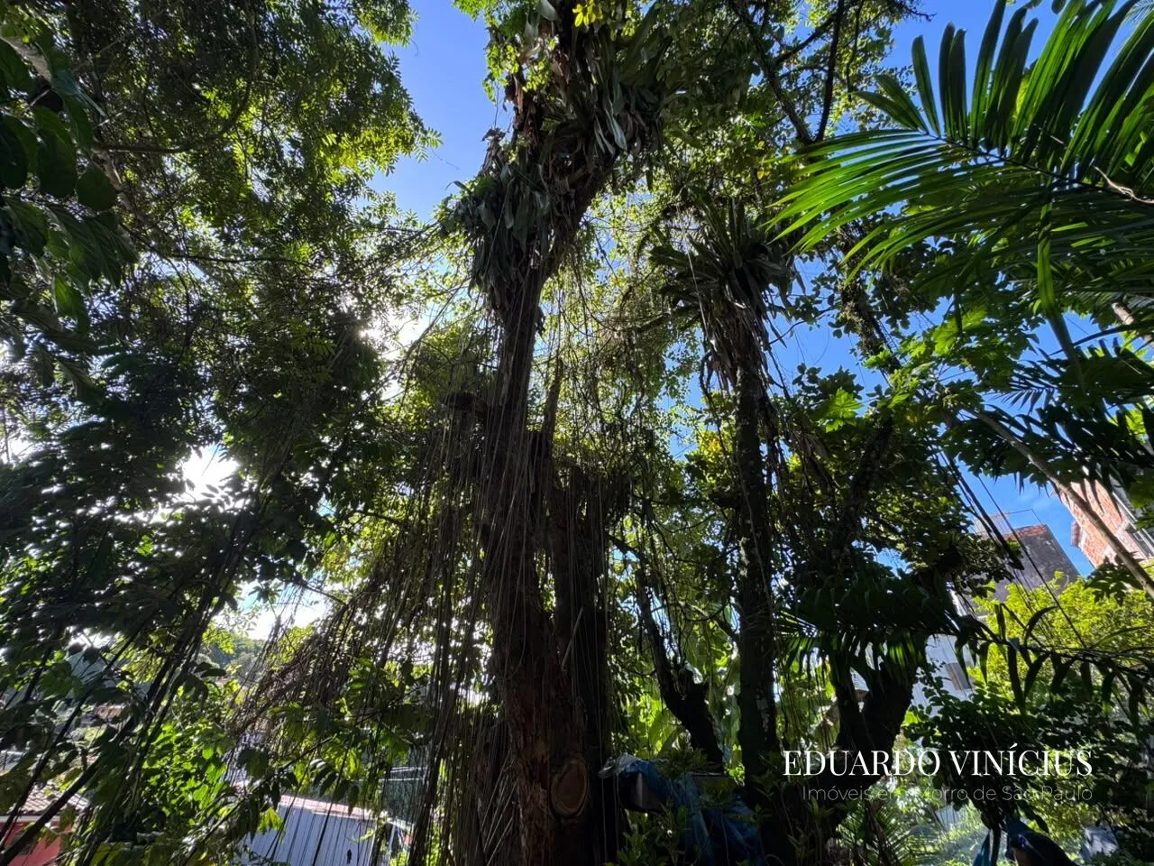 Imagem Terreno com 600m² À Venda na Fonte Grande em Morro de São Paulo