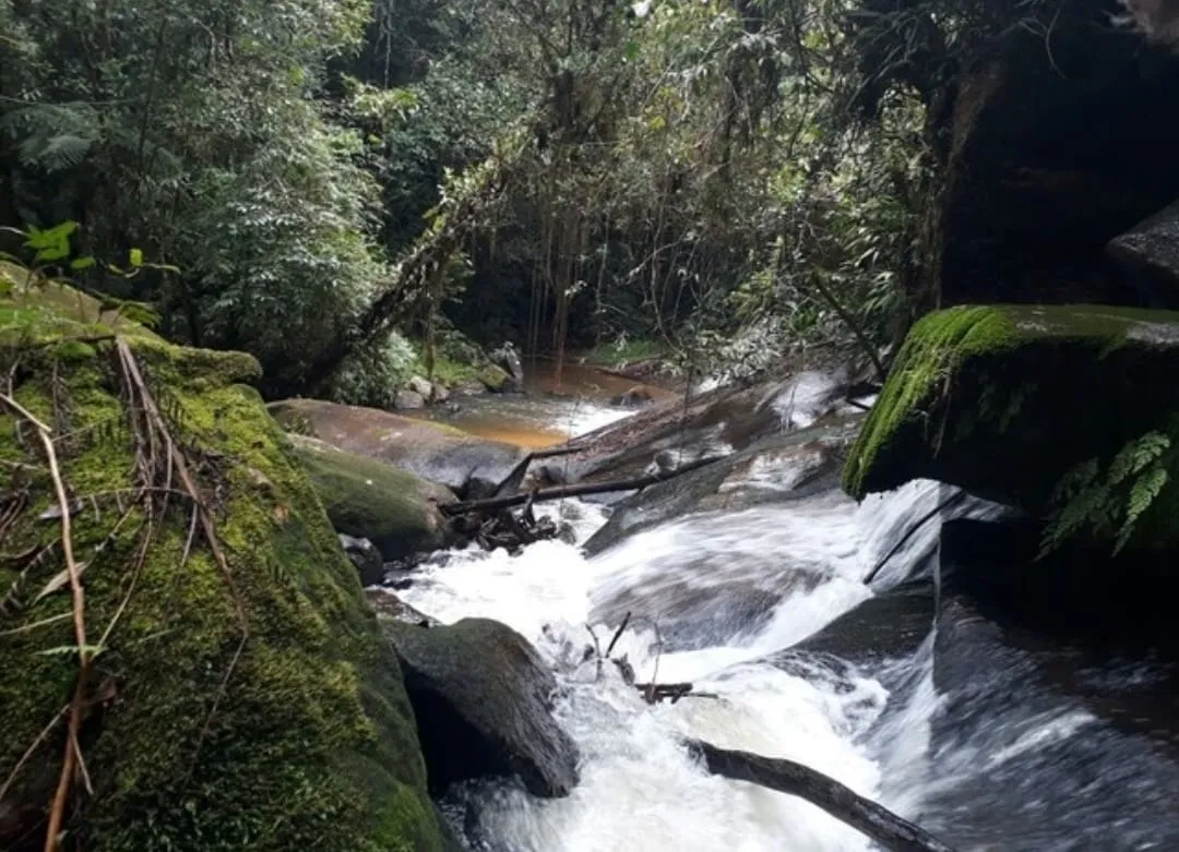 Imagem Chácara à venda 2 Quartos, 1 Suite, 170000M², Zona Rural, Paraibuna - SP