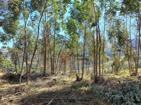 Imagem Área à venda, 6050 m² por R$ 260.000,00 - Furnas de cima - Extrema/MG