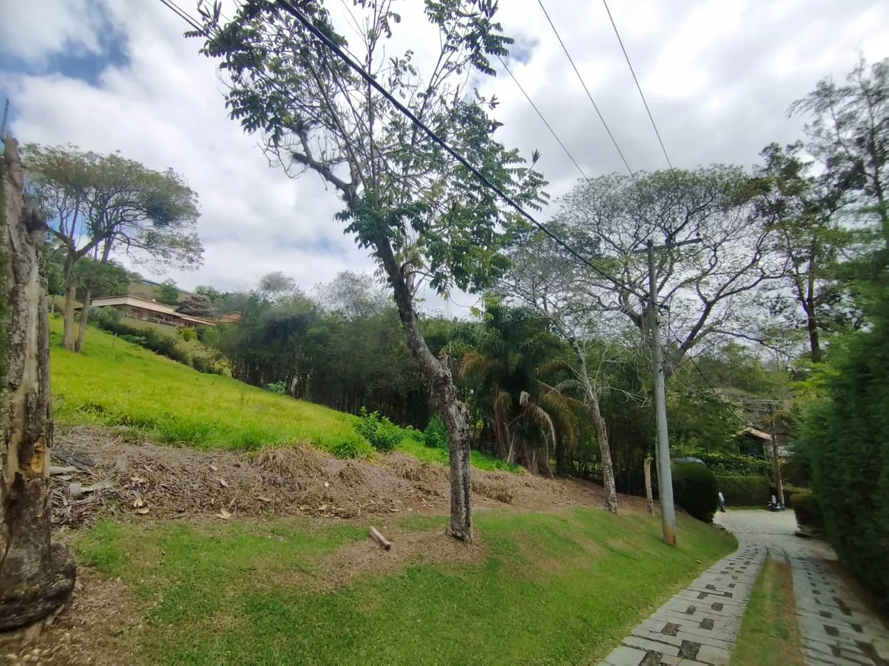 Foto do imóvel Terreno para Venda em Rua Neuza Goulart Brizola