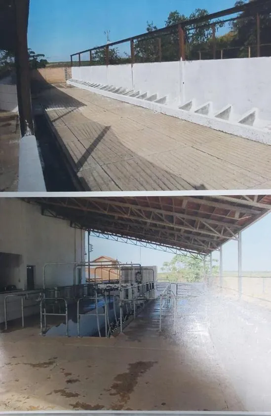 Imagem FAZENDA À VENDA - MORRO DA GARÇA (MG) 208 hectares de área total,