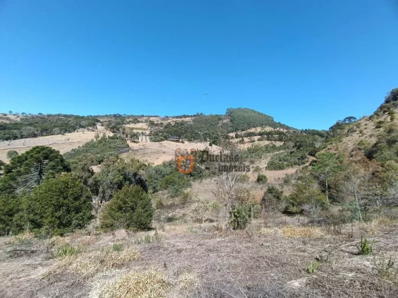 Imagem Área à venda, 55000 m² por R$ 780.000 - Bom Jardim - Camanducaia/MG