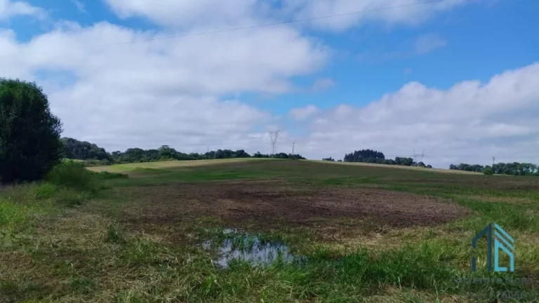 Imagem Sitio a venda 20 alqueires no Município de Pinhão - PR