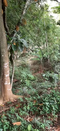 Imagem TERRENO RESIDENCIAL em RIO DE JANEIRO - RJ, CAMPO GRANDE