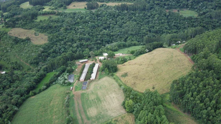 Imagem Área Agrícola para Venda em Três Arroios, Rural