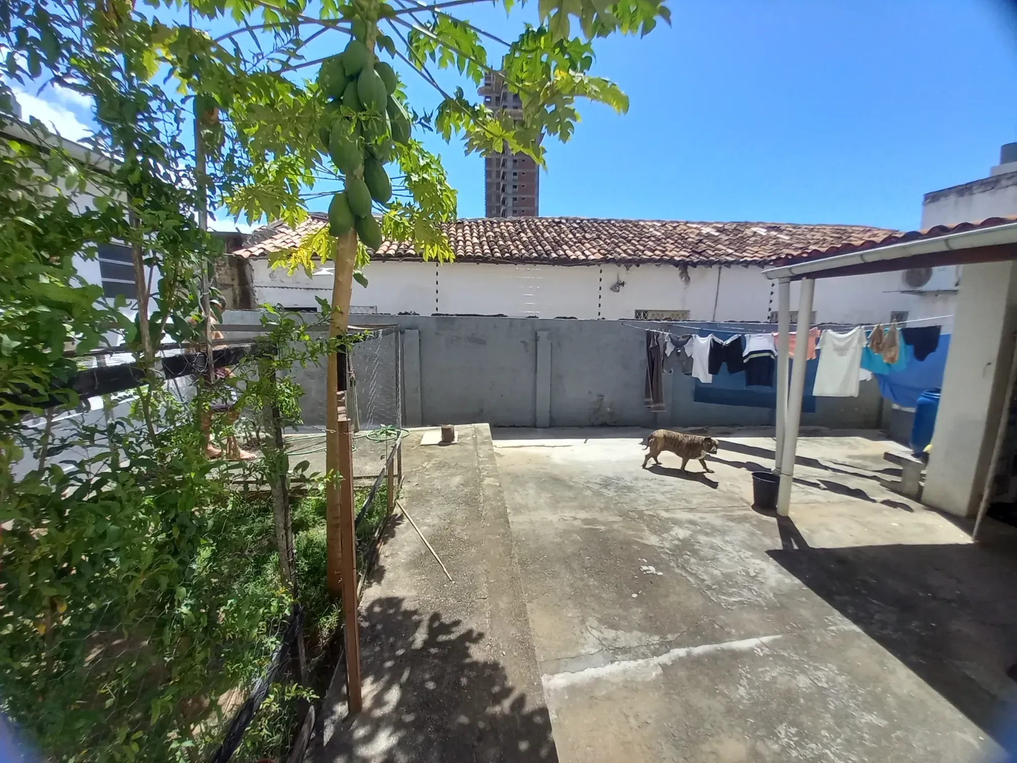 Imagem Casa com 3 Quartos à Venda, 173 m² em Barro Vermelho - Natal