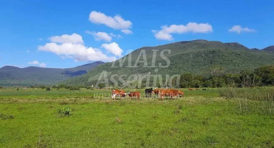 Imagem Excelente Sítio à venda em Aguapés, Osório/RS - 16 hectares