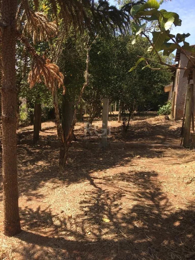 Imagem Terreno em Vila Nova