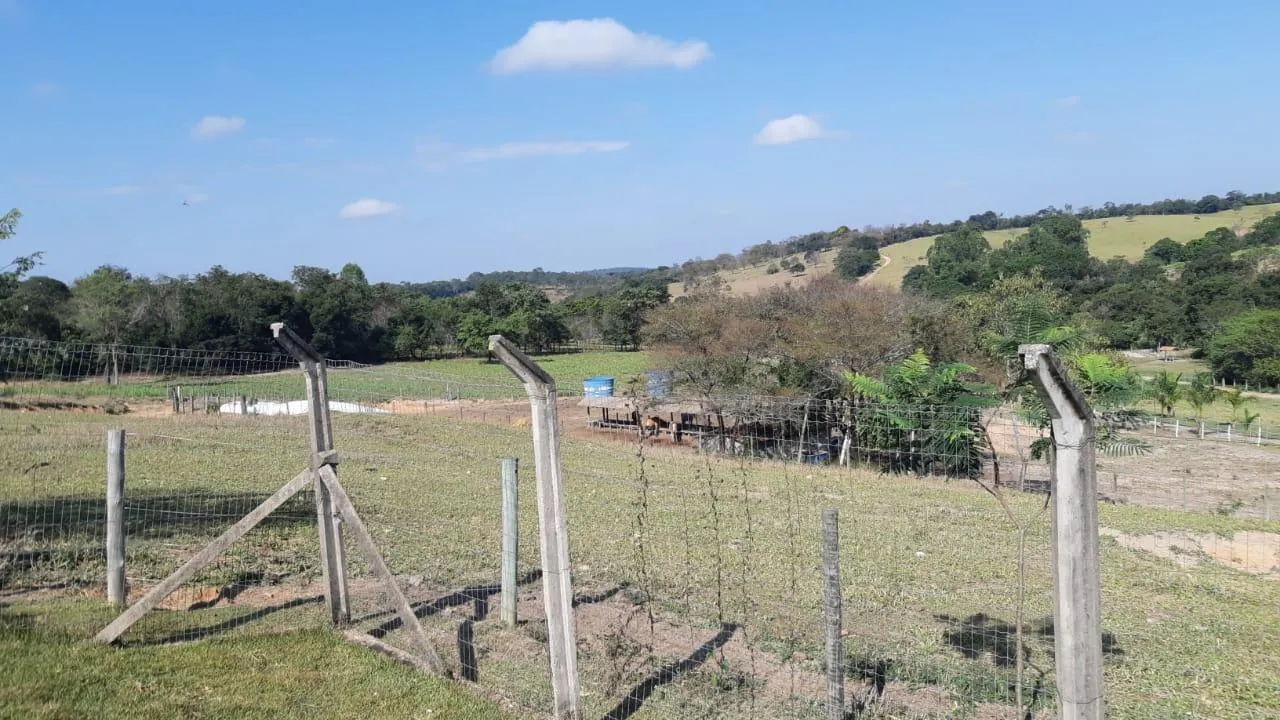 Imagem FAZENDA À VENDA - SÃO GONÇALO DO PARÁ 120 hectares de terra