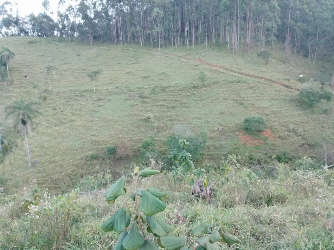 Imagem 4 Alqueires à Venda em Piracaia ? Ótima Localização!