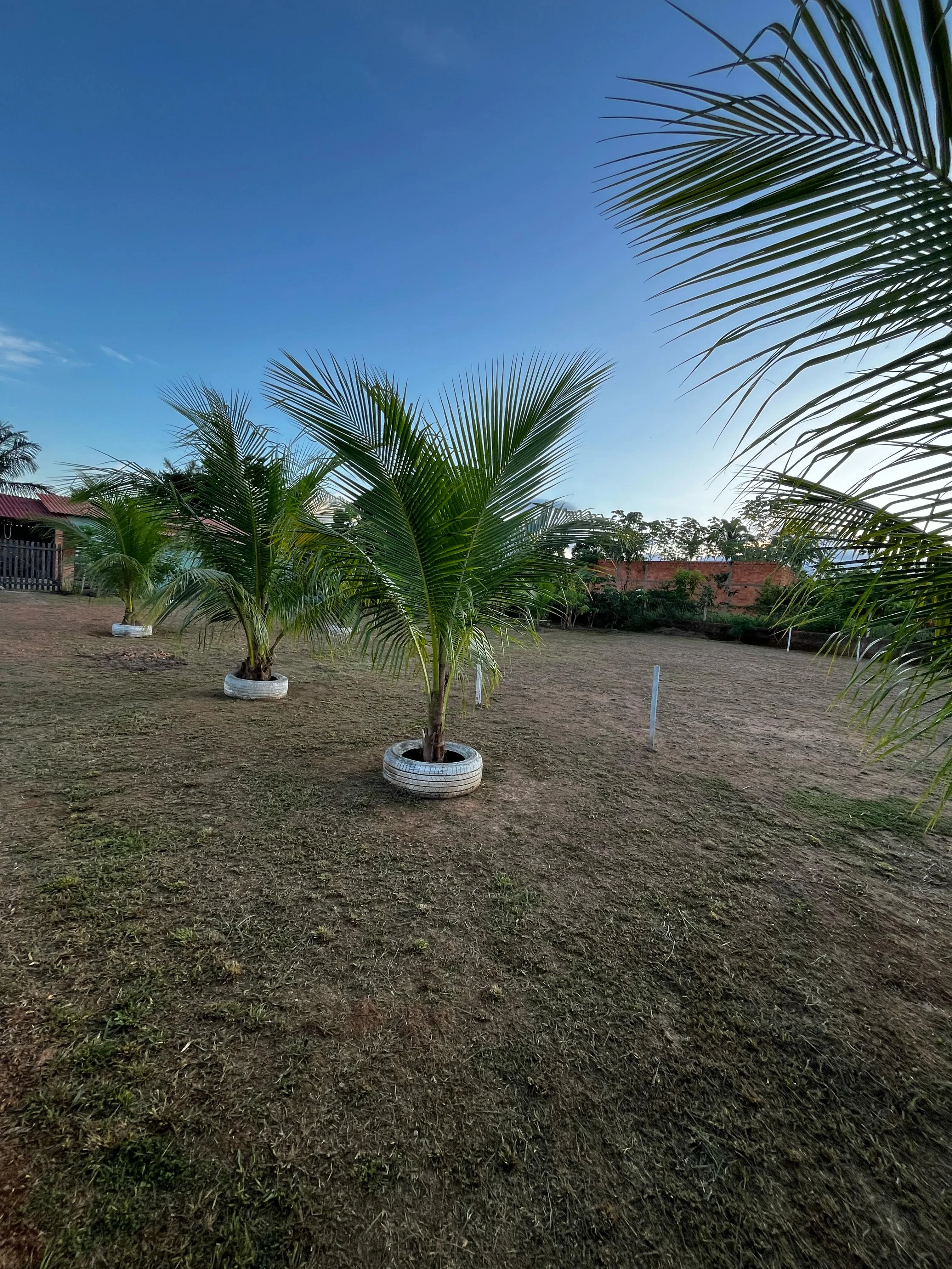 Imagem Ponto Comercial à Venda ou Locação, 160 m² em Área Rural de Porto Velho - Porto Velho