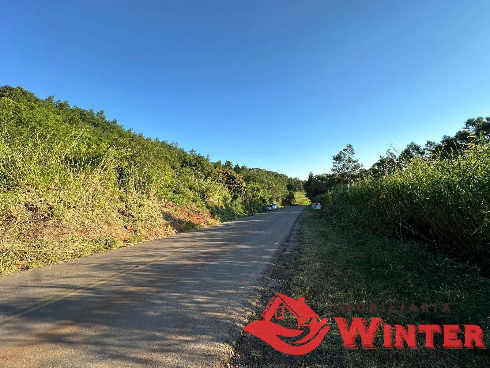 Imagem 10 hectares com Casa na Linha Nova!
