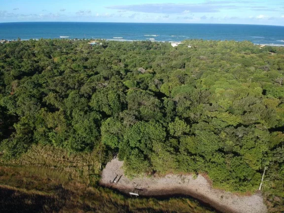 Imagem ÁREA NA PONTA DA BALEIA