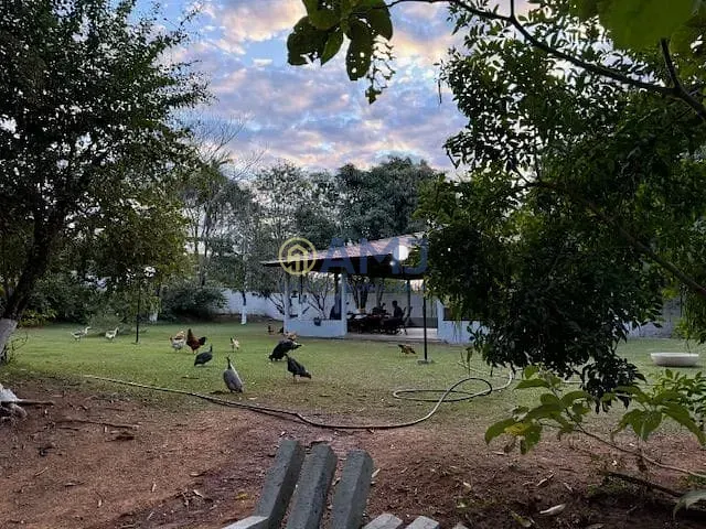 Imagem Área à venda, 21010 m² por R$ 1.450.000,00 - Chácara São Pedro - Aparecida de Goiânia/GO
