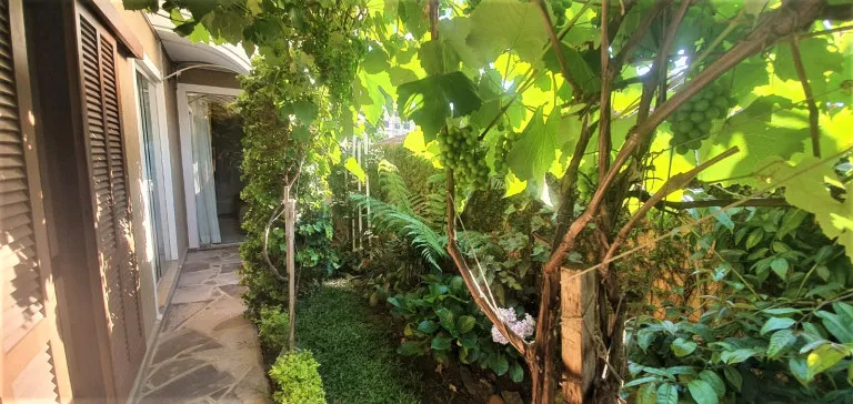 Imagem Casa com 3 Quartos à Venda, 223 m² em Novo Mundo - Curitiba