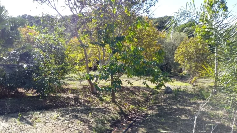 Imagem Excelente chácara Atibaia morar piscina e lago!