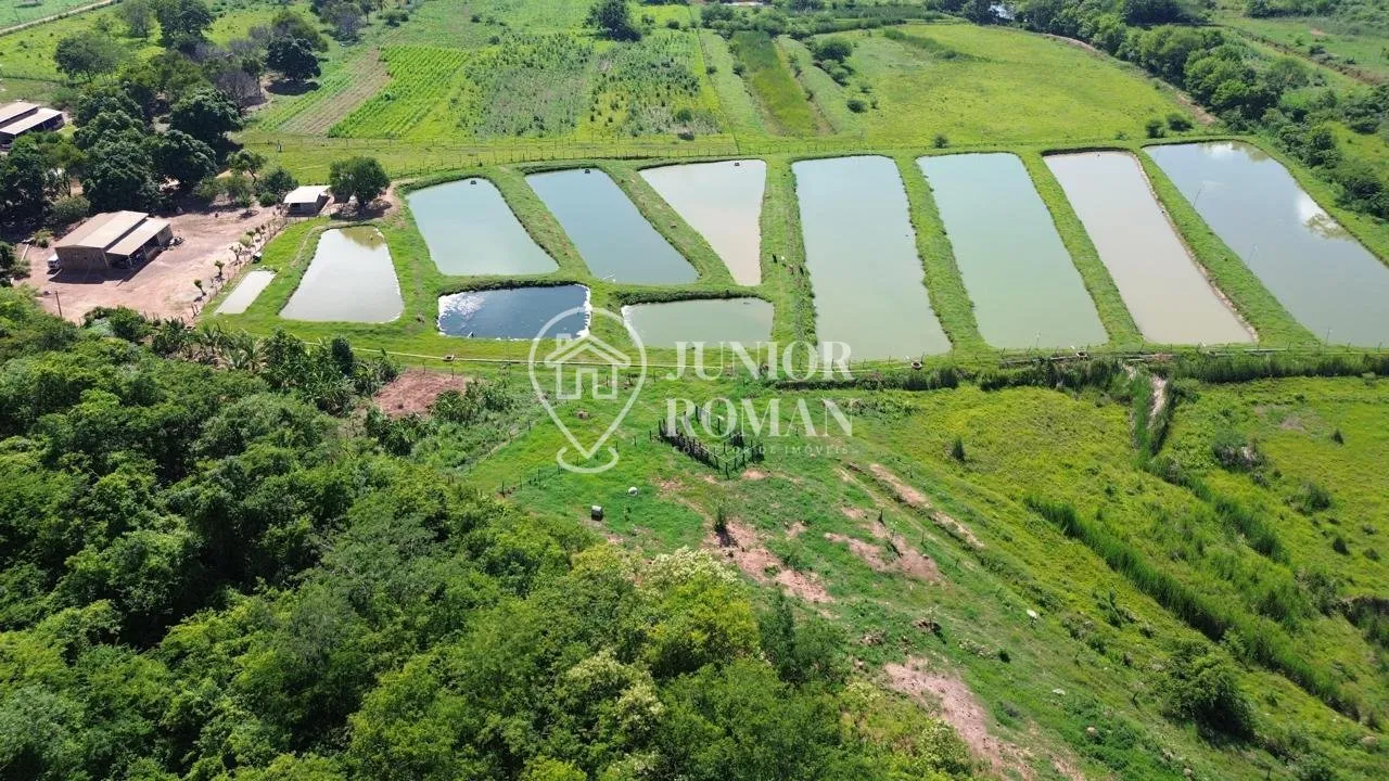 Imagem CHÁCARA / SÍTIO À VENDA COM 5 HECTARES - EXCELENTE ESTRUTURA RURAL