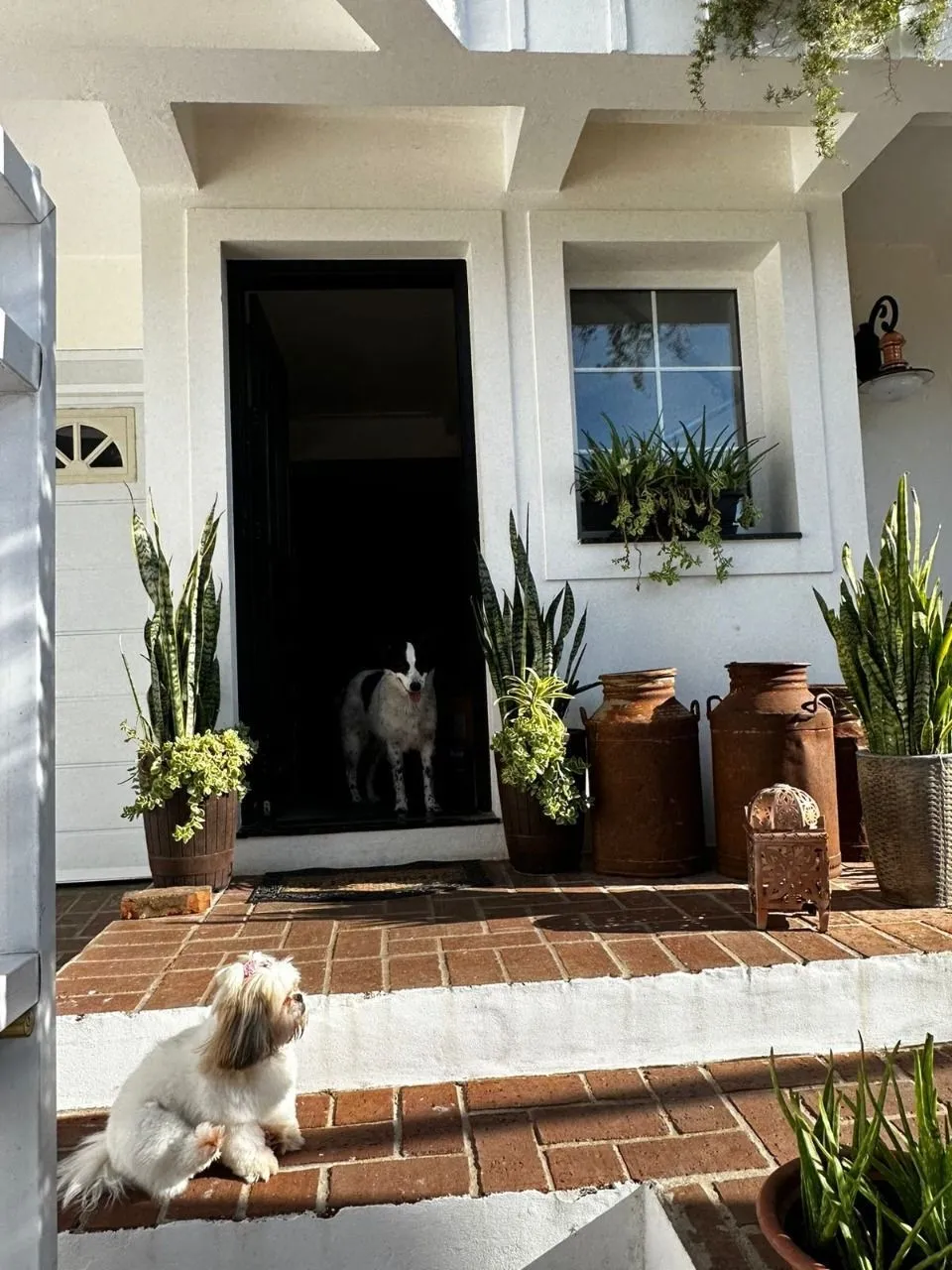 Imagem Casa em Santa Cruz do Sul