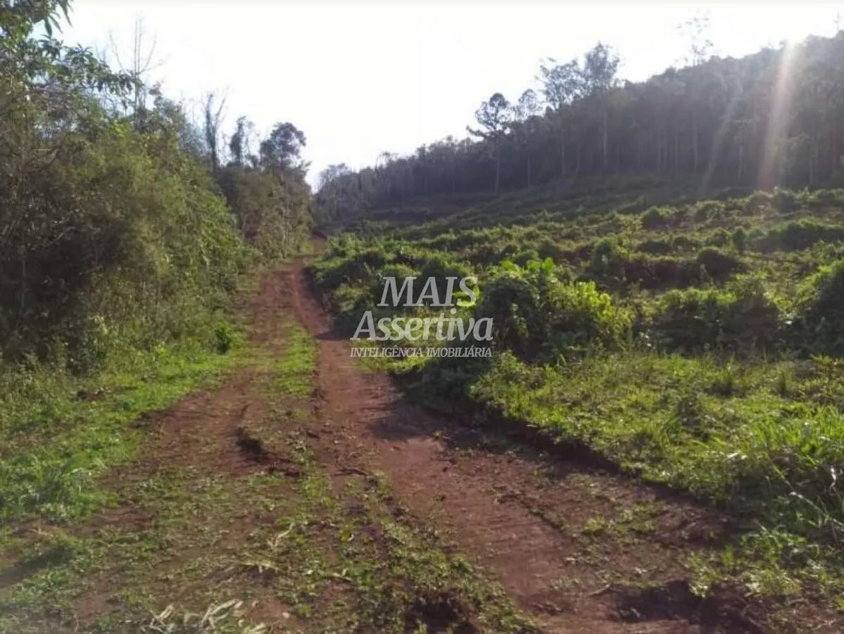 Imagem Terreno para Venda em Três Coroas / RS no bairro água Brancas