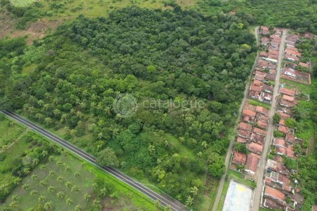 Imagem Área à Venda - Nísia Floresta / RN - 12,1 Ha
