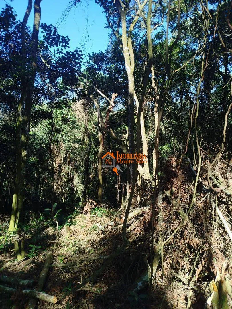 Imagem Terreno à venda, 3.068m² por R$ 212.000 - Parque Santos Dumont - Guarulhos/SP