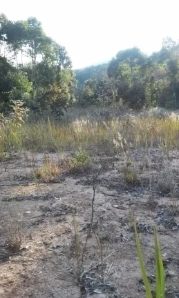 Imagem Área Rural Mairiporã lazer e moradia