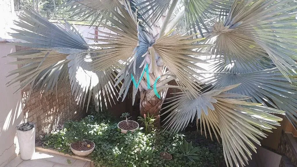 Imagem Casa com 2 dormitórios à venda, 220 m² por R$ 1.000.000,00 - Campo Grande - Rio de Janeiro/RJ