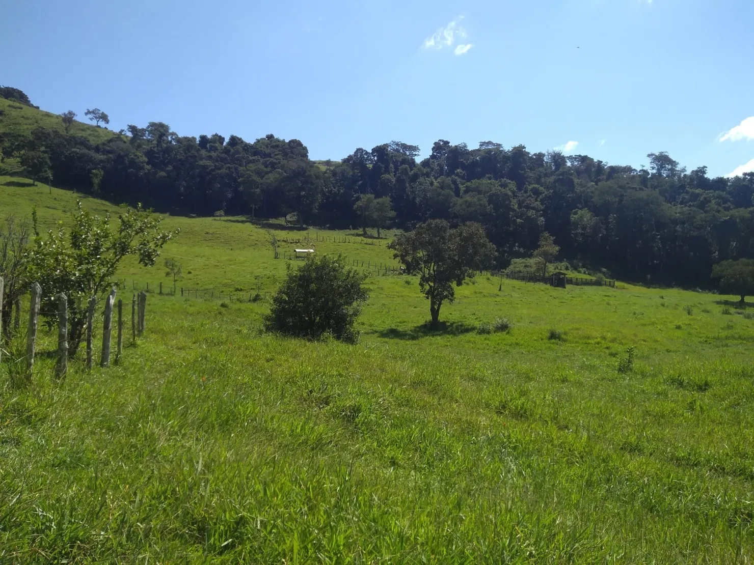 Imagem Chácara à venda 2 Quartos, 768000M², Zona Rural, Cunha - SP