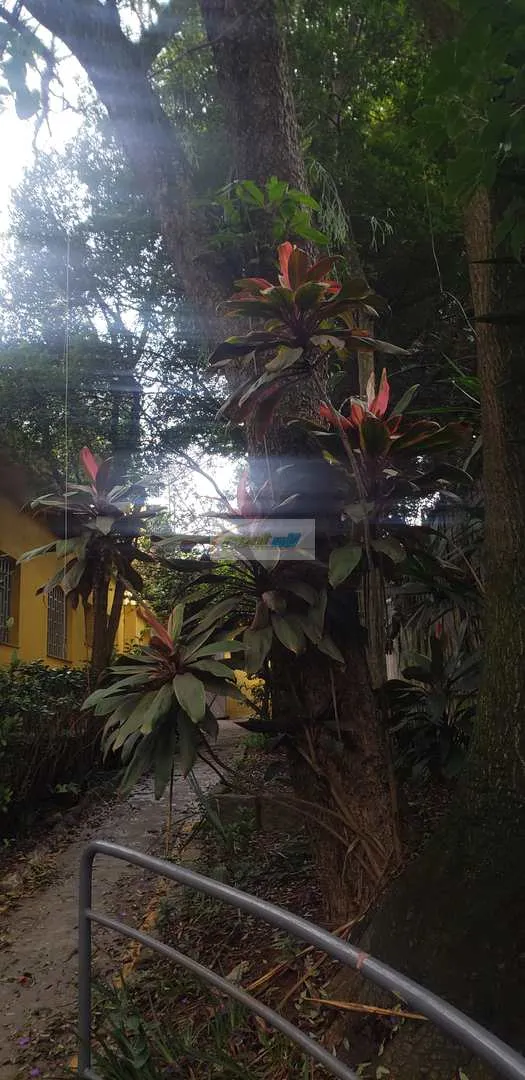 Imagem Casa Comercial