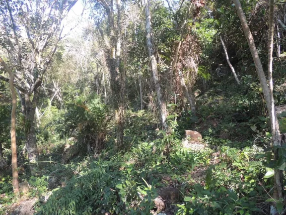 Imagem Terreno à Venda em Garopaba-SC, Praia da Gamboa, 973,63 m² de Área com Vista Mar!