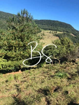 Imagem SITIO RURAL em SÃO FRANCISCO DE PAULA - RS, Padilha