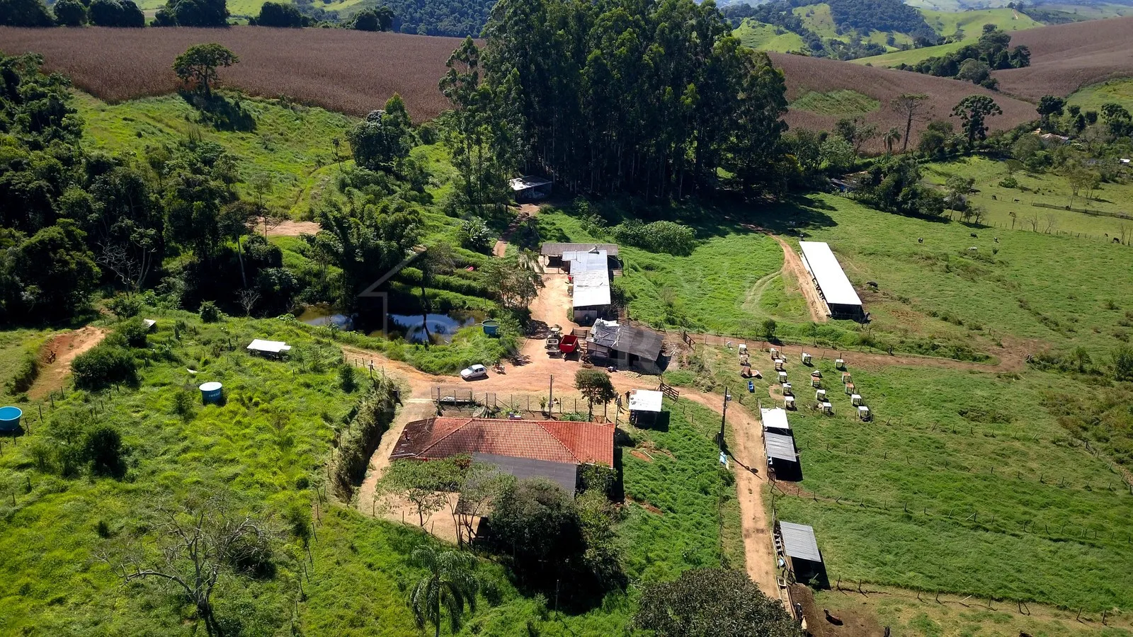 Imagem Sítio 24,2 ha à venda em Área Rural, Caldas