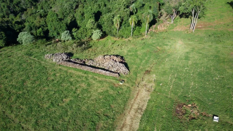 Imagem Fazenda para Venda em Concórdia, Interior
