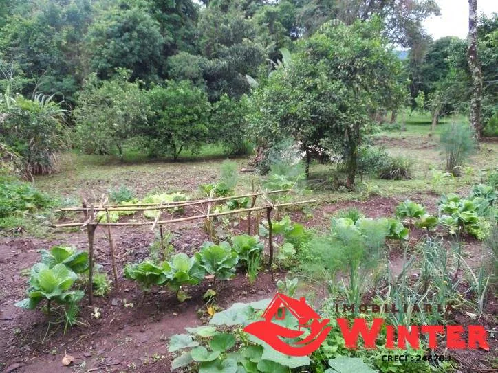 Imagem Casa de 149m² em terreno de 1500m² no centro de Feliz.
