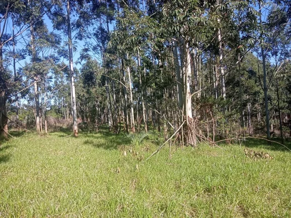 Imagem Excelente Área para Investimento - 29 Hectares, Pimenta, Viamão/RS