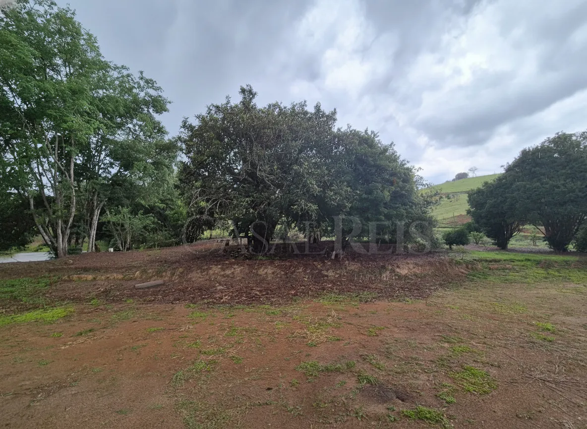 Imagem Chácara 24 m² à venda em Capituvas, Bandeira do Sul