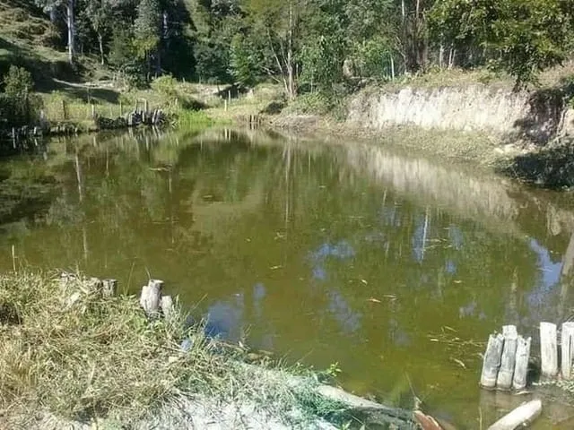 Imagem Chácara à venda 4 Quartos, Zona Rural, Natividade da Serra - SP