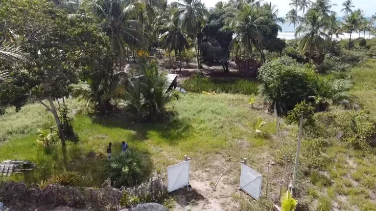 Imagem Bombaça Frente Mar