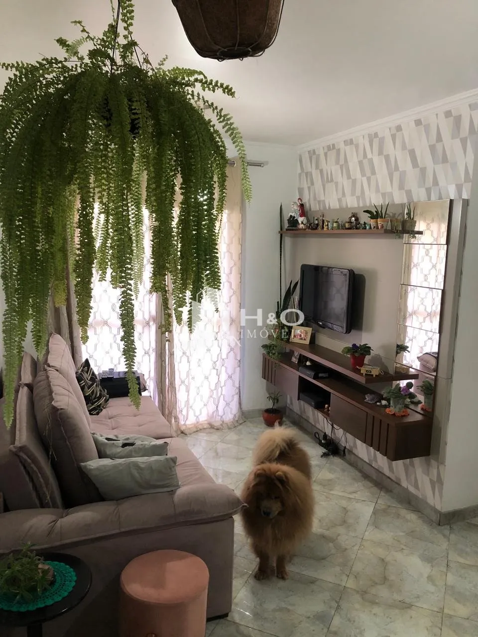 Imagem Excelente apartamento à venda na Vila Carmosina - ótima localização