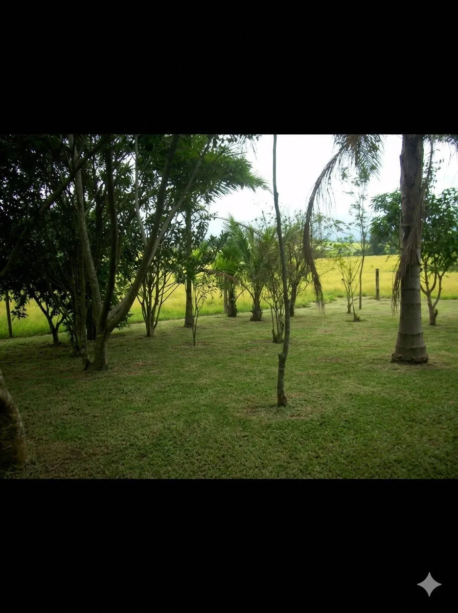 Imagem Chácara com 1000 m² à venda em Porangaba.