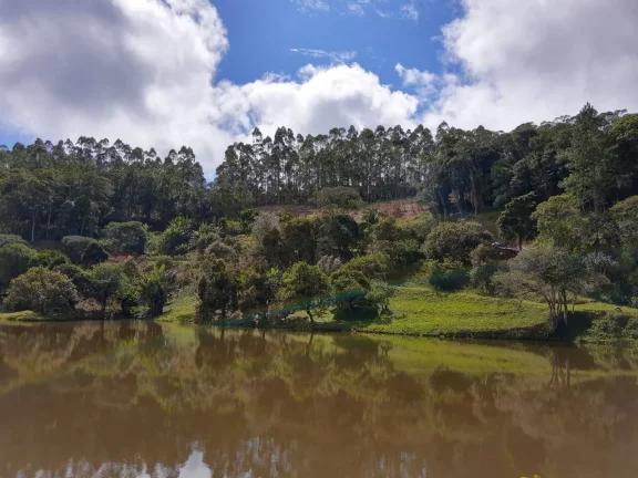Imagem Sitio com 6 alqueires Tapiraí