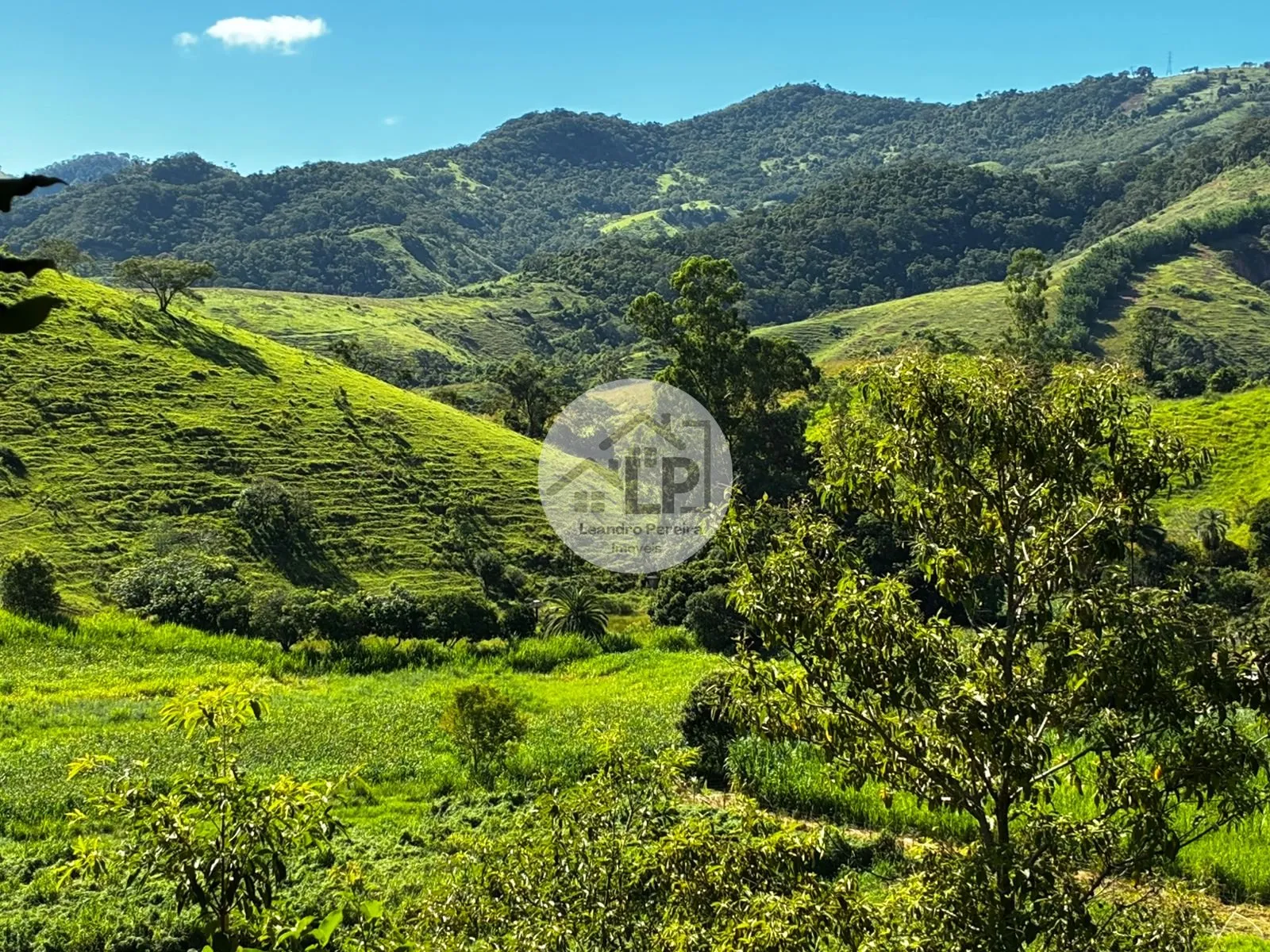 Imagem Fazenda/Sítios/Chácaras de 480000m² no bairro Carmo, em Carmo