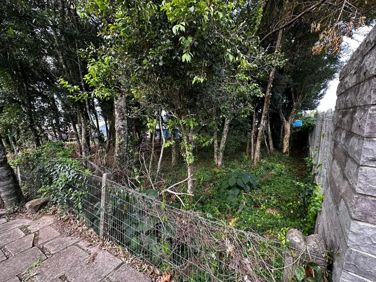 Imagem Terreno à venda em Gramado, Belvedere, 490.31m2